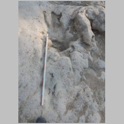 08-DSCN0372cr Baby at bottom.jpg